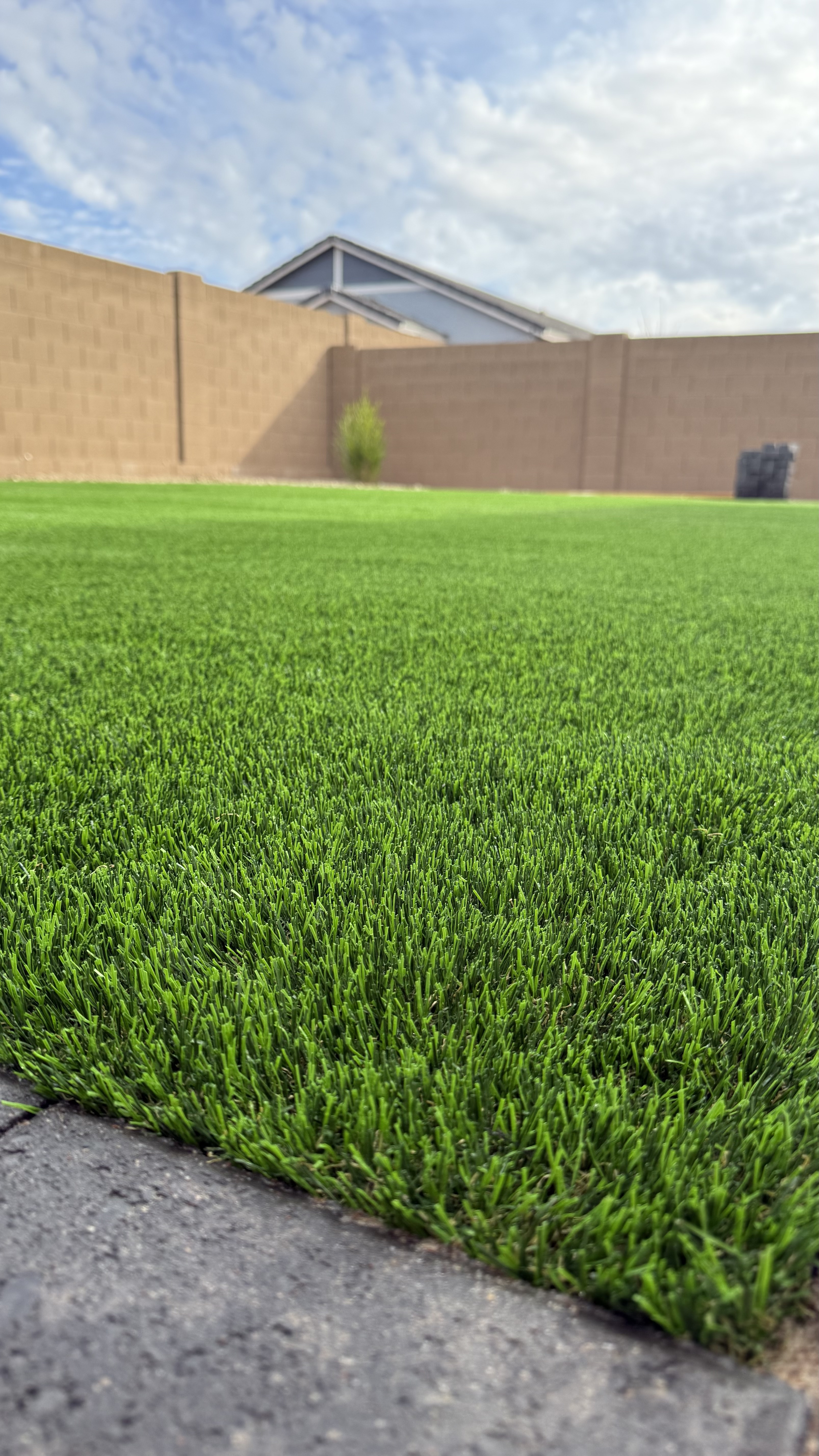 Lush artificial turf close up — Phoenix